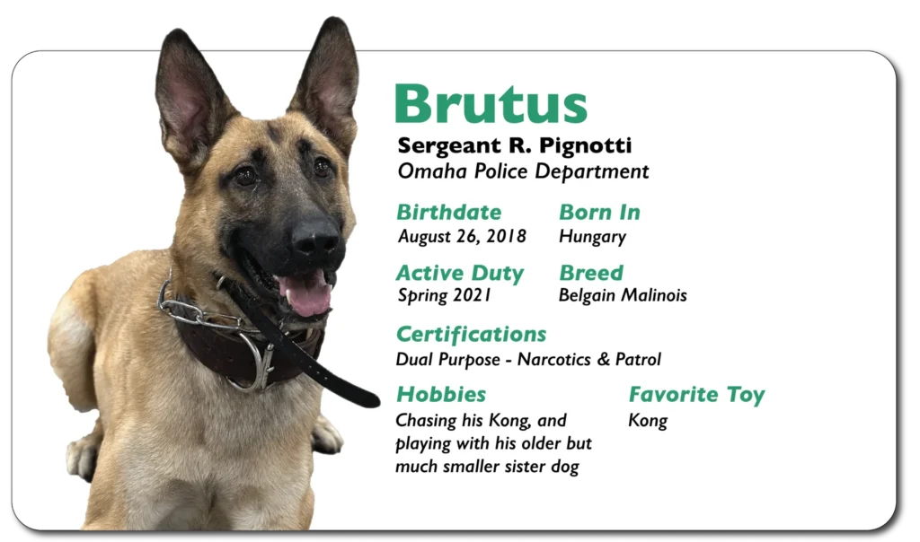 Brutus