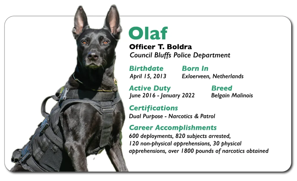 Olaf